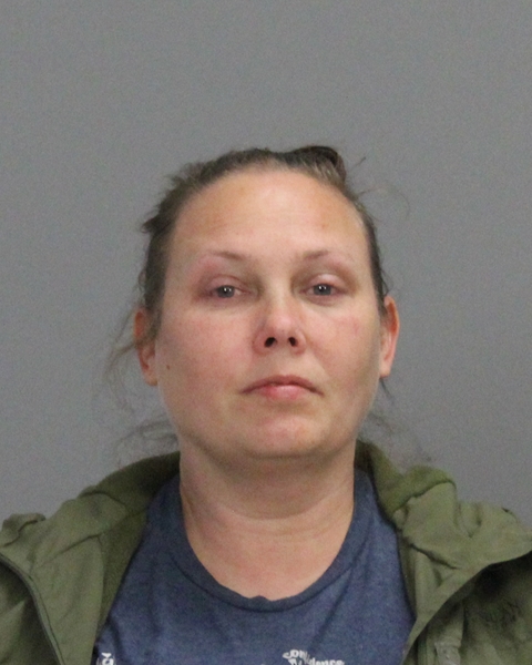 FERGUSON, RANDI LEIGH booking photo