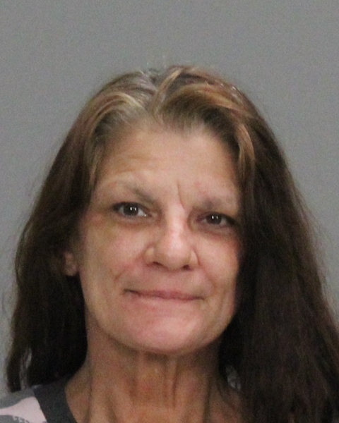Earnest, Cynthia Arlene booking photo