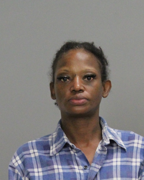 PATTERSON, CHRISTY ELAINE booking photo