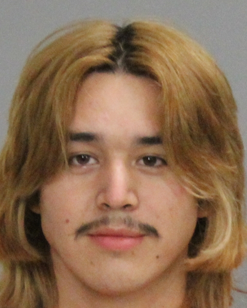 BAUTISTA TORRES, ANTHONY booking photo