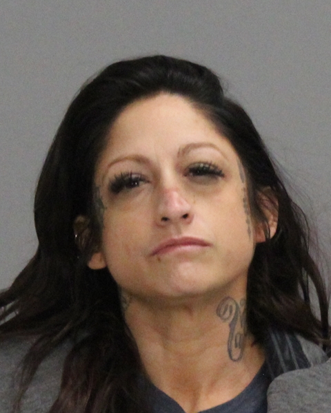 TEEGARDEN, RACHEL LENORE booking photo