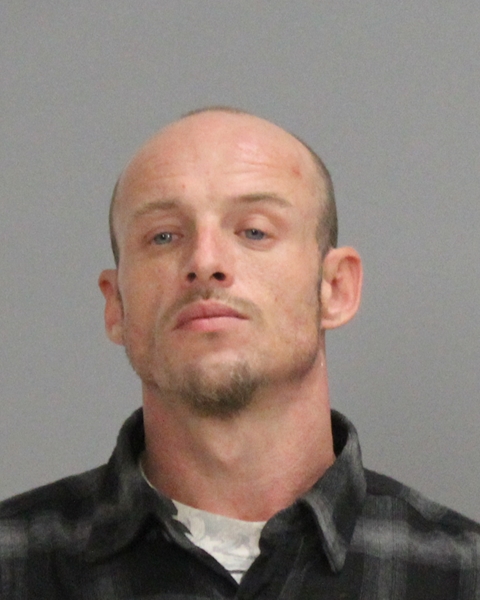 COOK, SCOTT LYNN booking photo