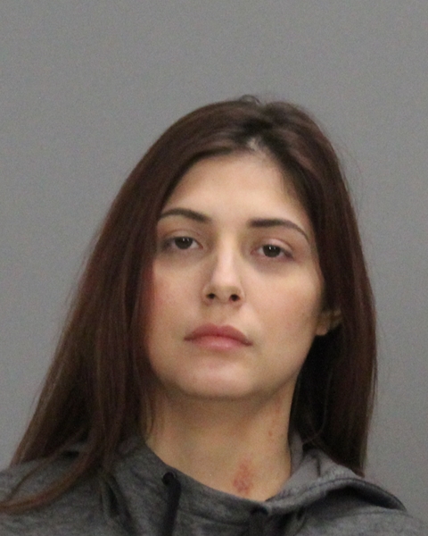 PEREZ, ELVIRA booking photo