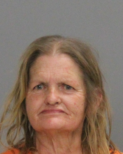 WILLS, DEBRA BAGGERLY booking photo