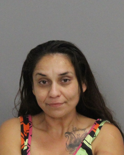 MARTINEZ, ASHLEY NICOLE booking photo