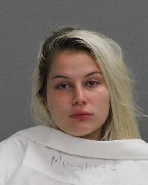 ARAMBURO MALDONADO, LINDA ROSE booking photo