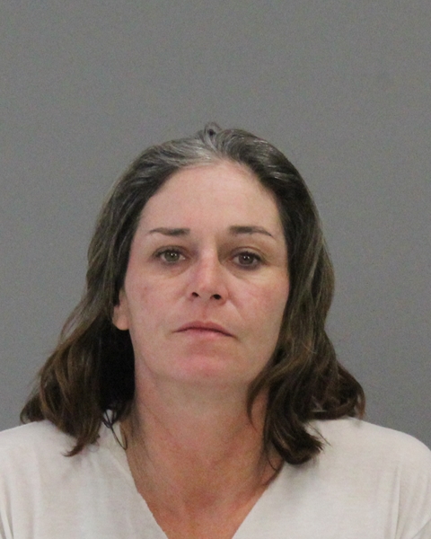 WILLIAMS-FORD, RACHEL LOUISE booking photo