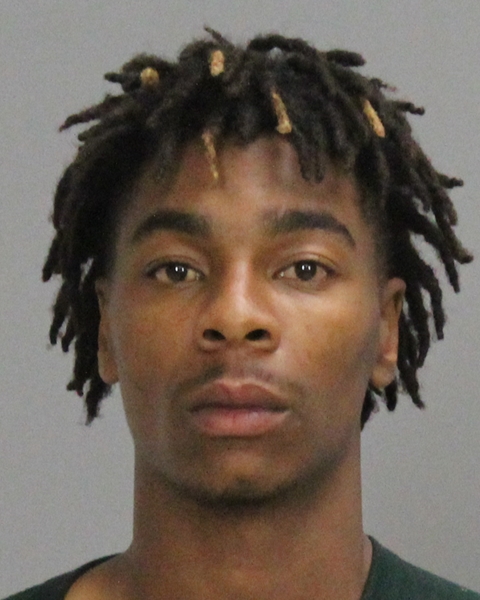 Nowlin, David Eugene booking photo