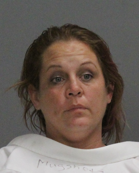 Mcclelland, Suzanne booking photo