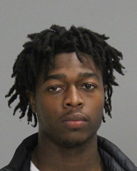 LEE, DEVION SIR CHARLES booking photo