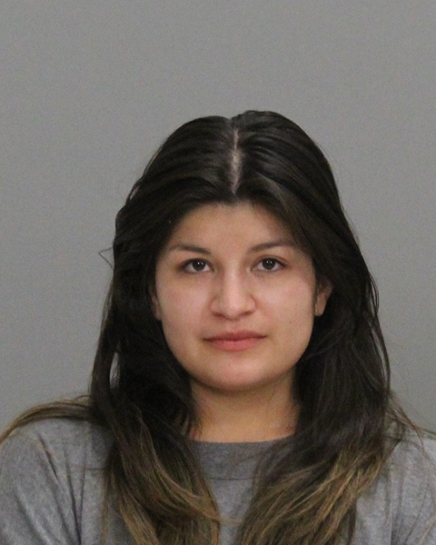 FLORES, JAILENE booking photo