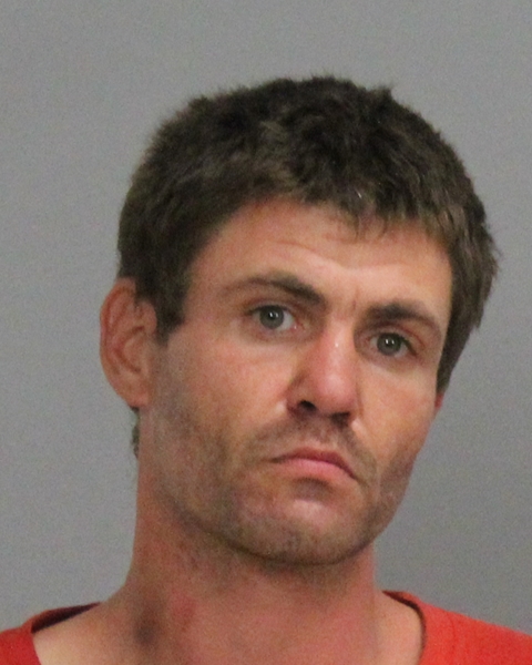 MICHAEL, GLENN ANTHONY ARMSTRONG booking photo