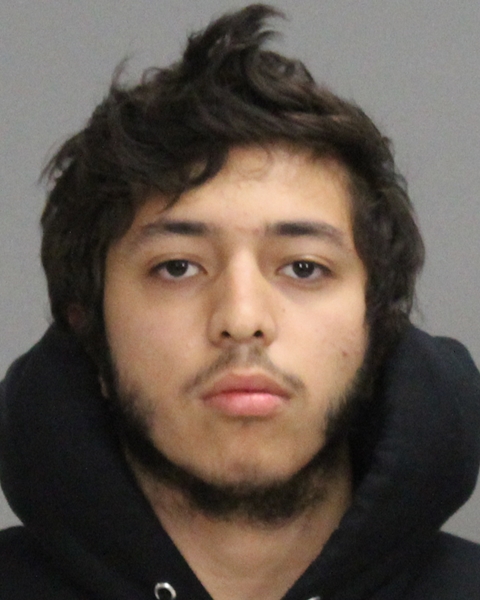 PEREZ, DAVID booking photo