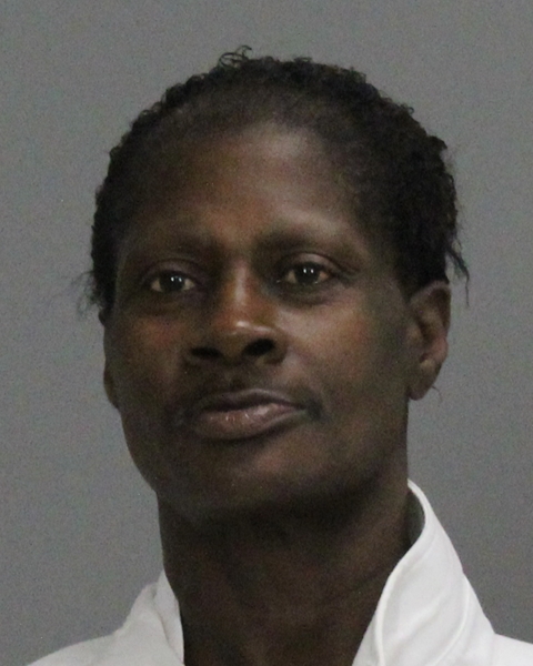 WILSON, FLORIDA booking photo