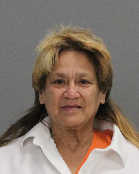VILLARREAL, DIANA DELON booking photo