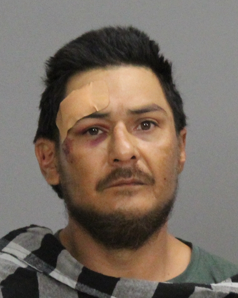 PONCE, RICHARD REY booking photo