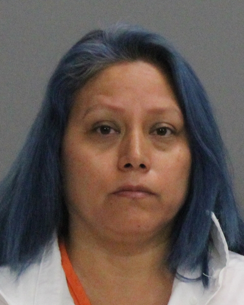 REYES-TREJO, OLGA LIVIA booking photo