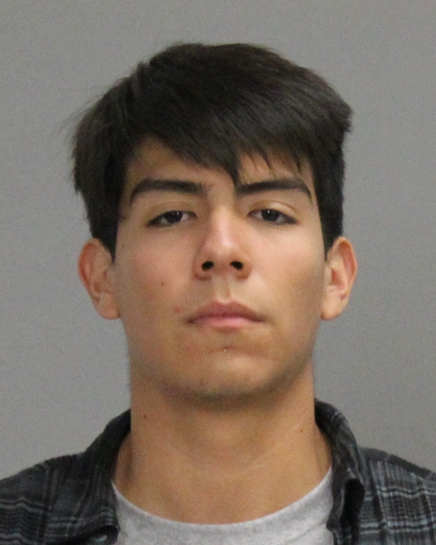 PEREZ, ANDREW ROGER booking photo