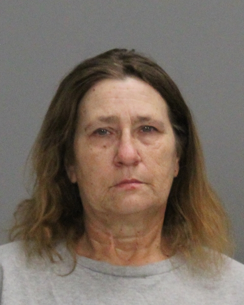 RAWLS, JULIE WINETTE booking photo