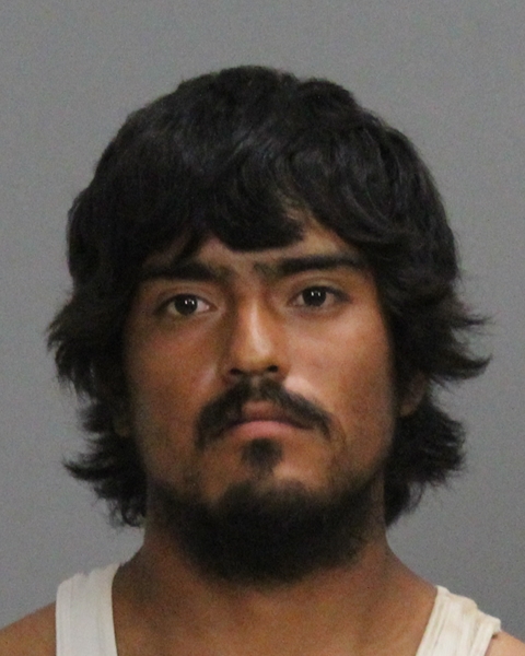 MEDRANO, FRANCISCO JR booking photo