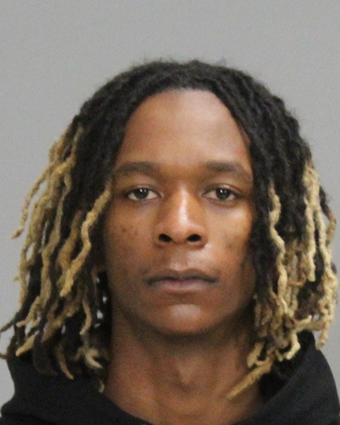 BOONE, RAYLYN DEWAYNE booking photo