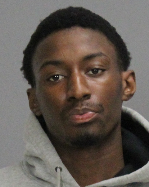 CHAMBERS, GREGORY CARL booking photo