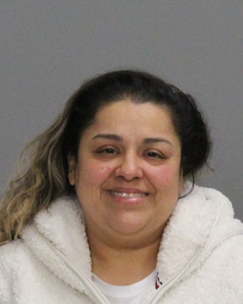 MEDINA, RICARDA booking photo