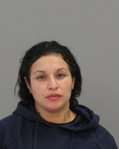 JOHNSON, CHRISTINA ANN booking photo