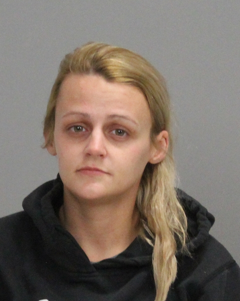 Morgan, Amber Rose booking photo