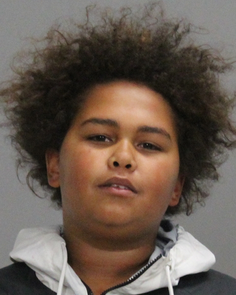 Hallford, Elijah Curtis booking photo