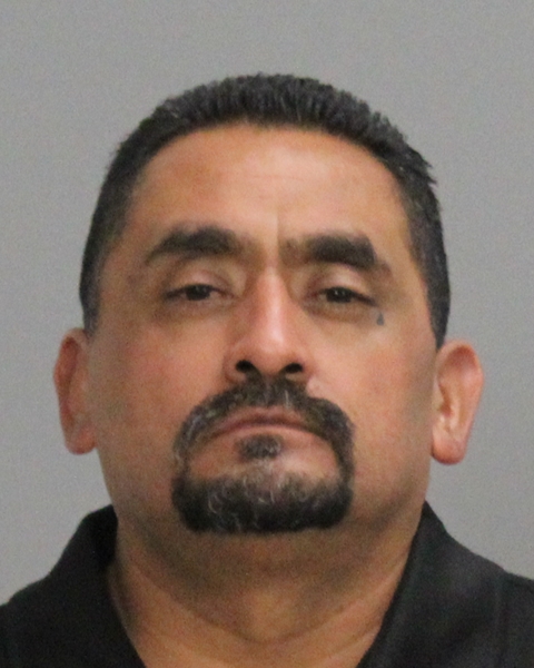 HERNANDEZ, TRACY booking photo