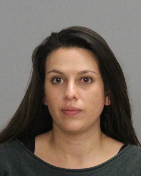 LONG, TINA BETH LIDDIE booking photo