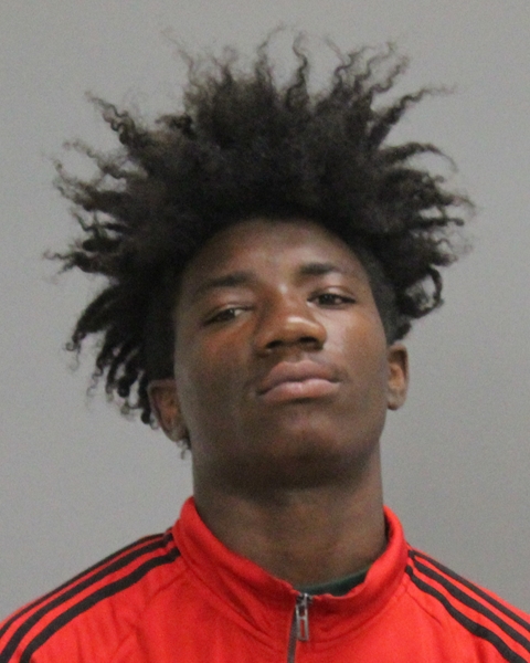 JOHNSON, MARION EDWARD booking photo