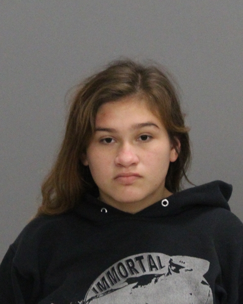 Prado, Cassidy Ann booking photo