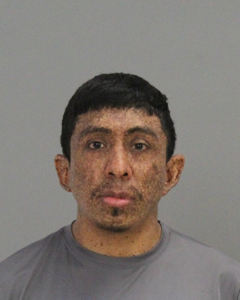 Noyola-Flores, Horacio booking photo