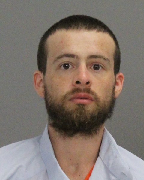 REEVES, BRANDON MICHAEL booking photo