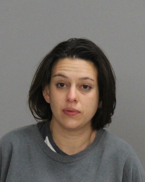 LONG, TINA BETH LIDDIE booking photo