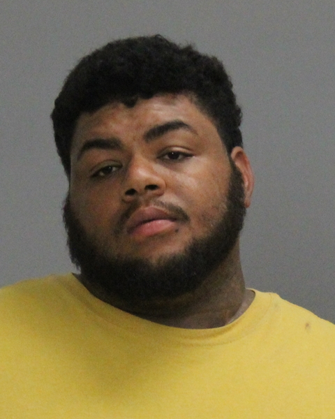 Fairbanks, Lloyd Reed booking photo