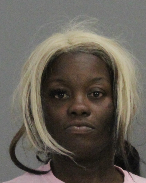 WILSON, ASHLEY NICOLE booking photo