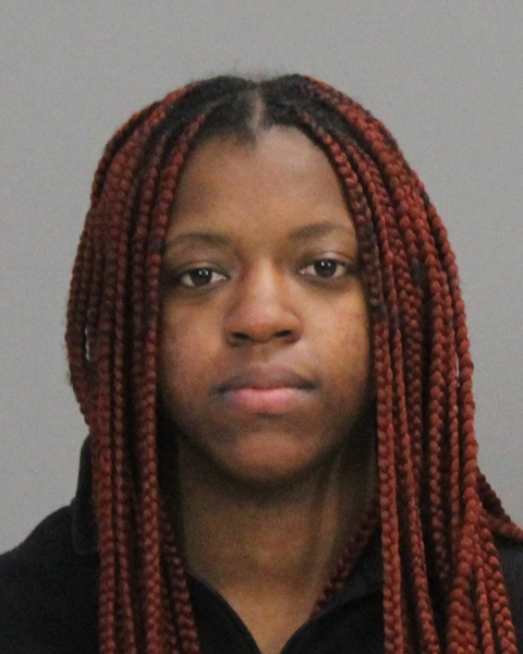 HESLIP, ANTWONETTE LEANDREA booking photo