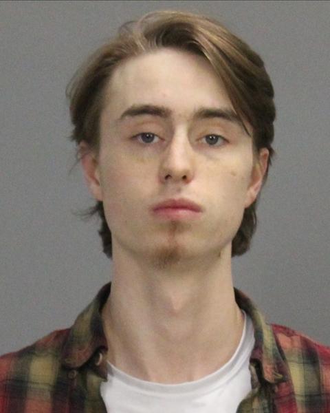 Halliwell, Seth Jacob booking photo