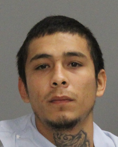 HENRY, JOE LOUIS booking photo