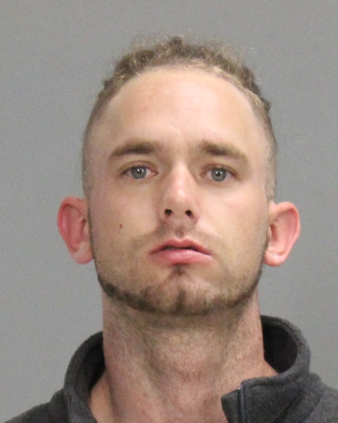 LEMOINE, DALTON ALAN booking photo