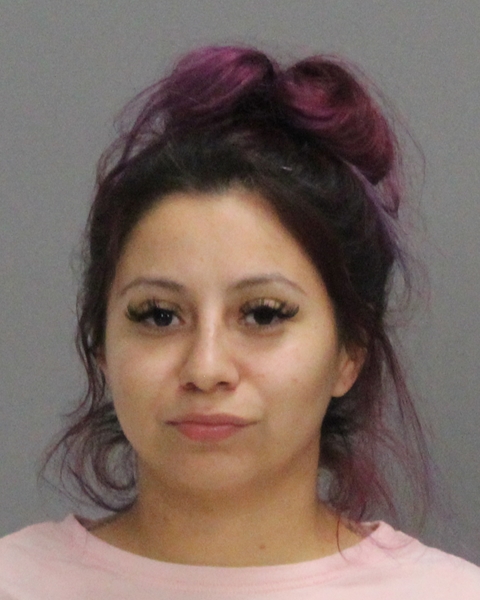 SAUCEDO-GALLEGOS, ROSA GUADALUPE booking photo