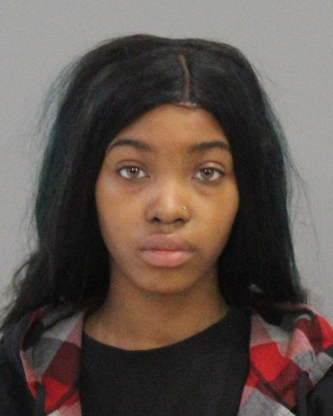 ROBINSON, JADA RENAE booking photo