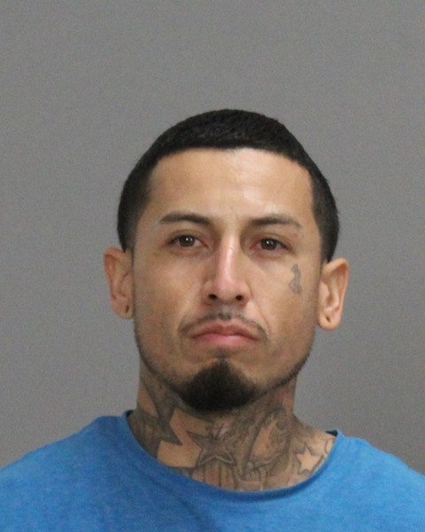 Rollo, Maurice Gene, Jr booking photo