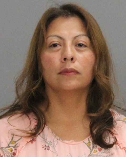 Jahn, Anna Maria booking photo