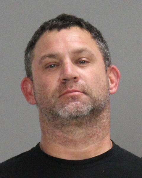 Pippin, Brent Wayne booking photo