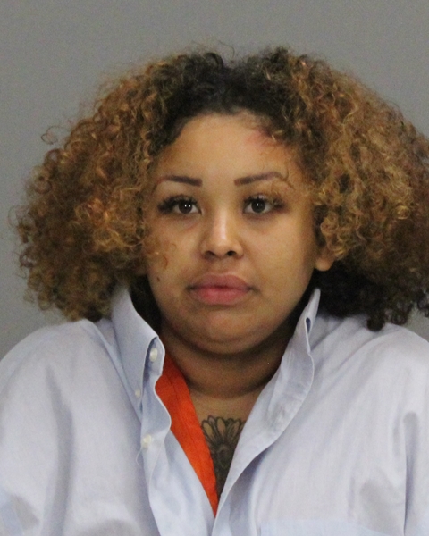 Perez Velasquez, Yudit booking photo