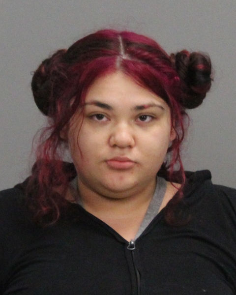 Garcia, Nilifer Lissette booking photo